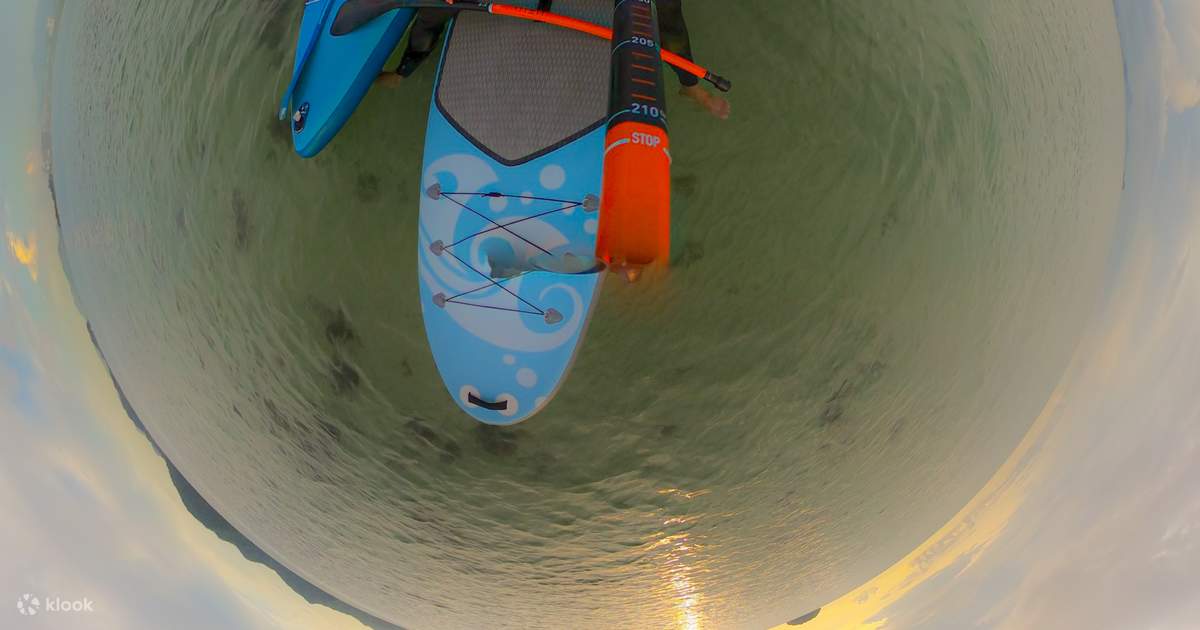 Stand Up Paddle Boarding Lesson & Safari in Kota Kinabalu Klook